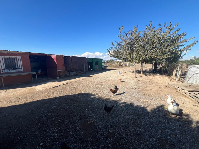 Country House for Sale in Costa Blanca Dolores, Alicante 26