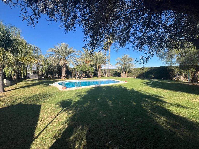 Country House for Sale in Costa Blanca Dolores, Alicante 31