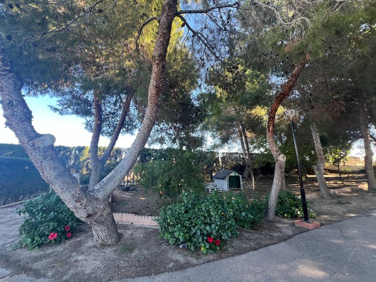 Country House for Sale in Costa Blanca Dolores, Alicante 33