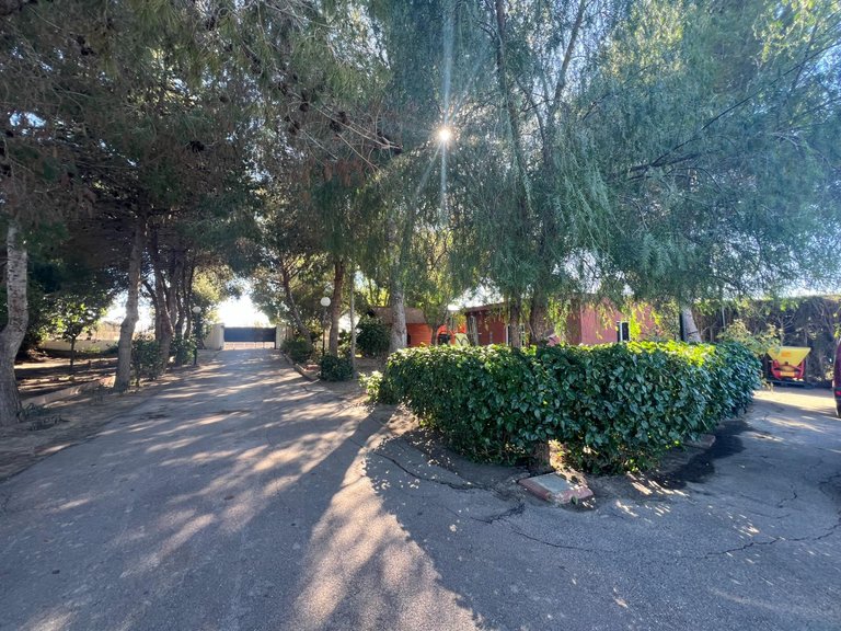 Country House for Sale in Costa Blanca Dolores, Alicante 34