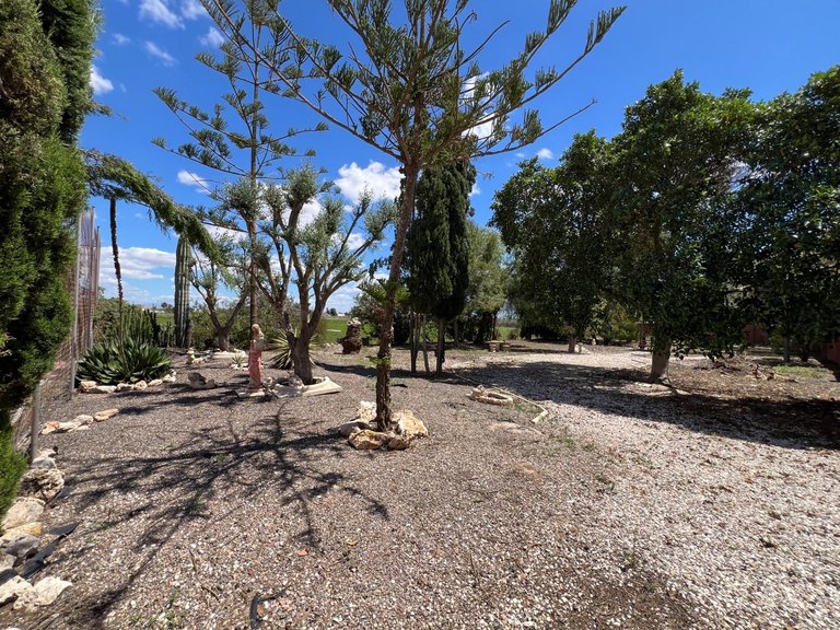 Country House for Sale in Costa Blanca Dolores, Alicante 31