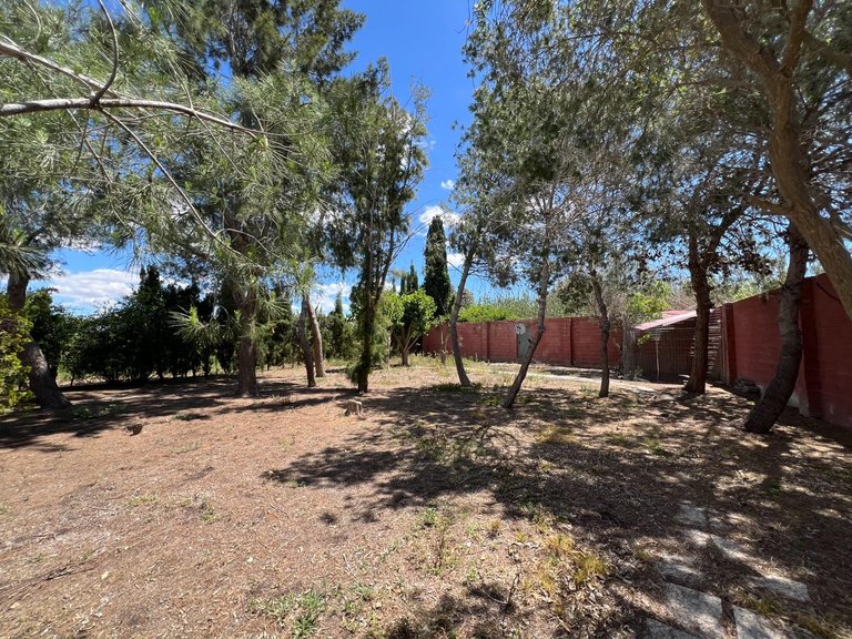 Country House for Sale in Costa Blanca Dolores, Alicante 34