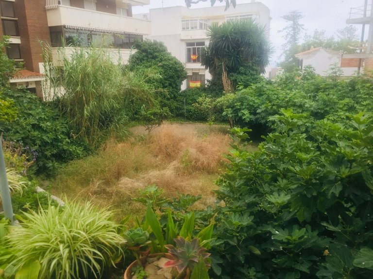 Apartment for Sale in Benalmádena, Malaga 23