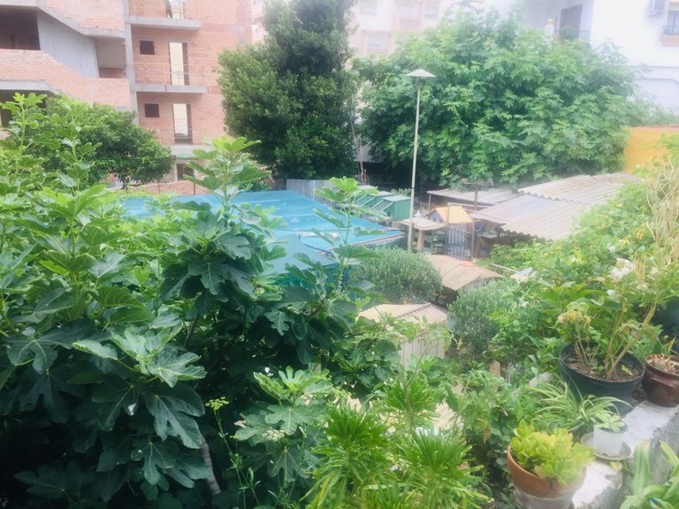 Apartment for Sale in Benalmádena, Malaga 24
