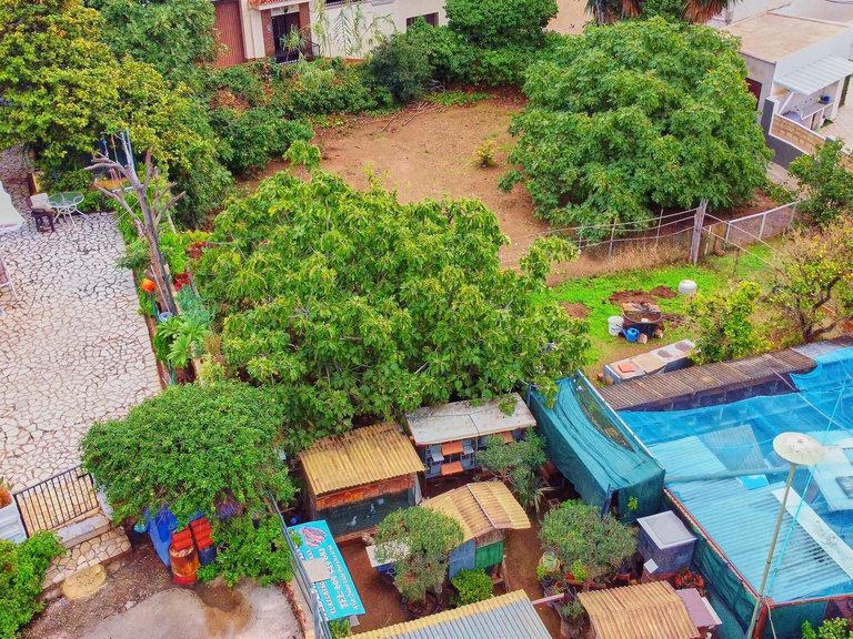 Apartment for Sale in Benalmádena, Malaga 8