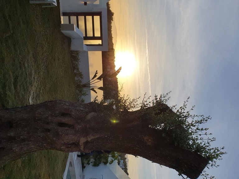 Villa for Sale in Marbella, Malaga 41