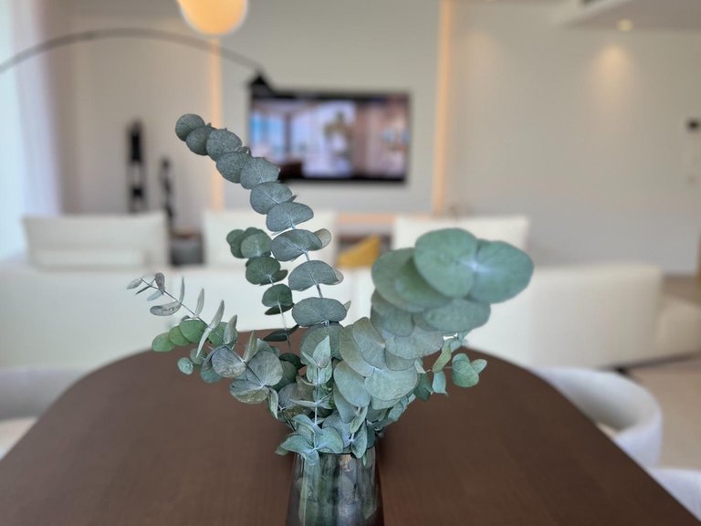 Apartment for Sale in Marbella, Malaga 47
