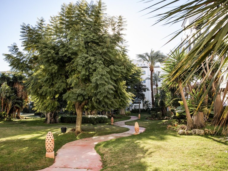 Apartment for Sale in Marbella, Malaga 1