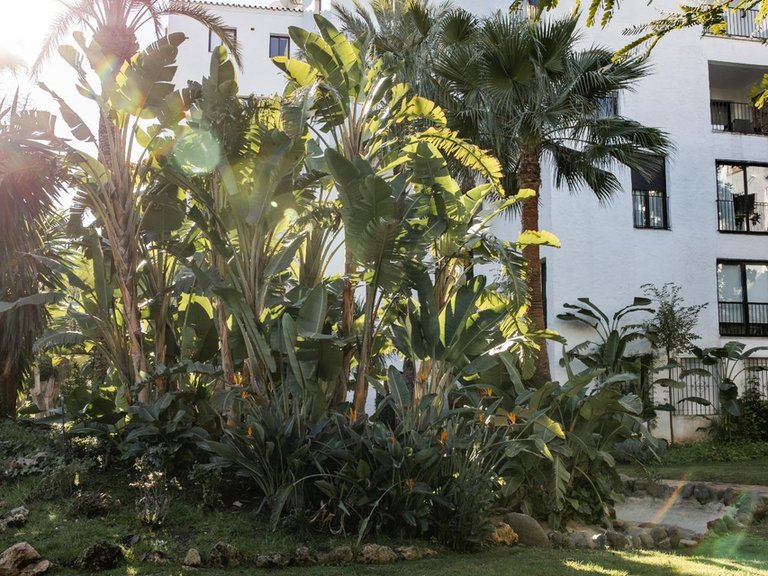 Apartment for Sale in Marbella, Malaga 28