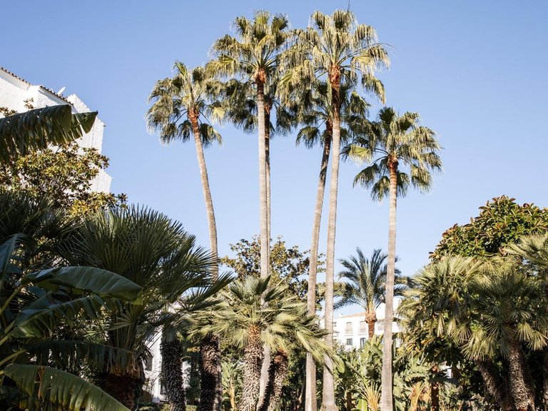 Apartment for Sale in Marbella, Malaga 35