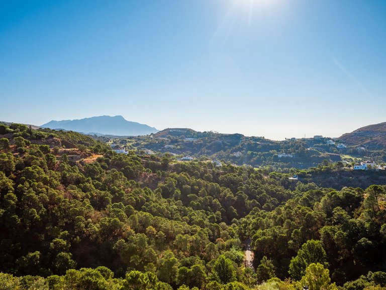 Apartment for Sale in Benahavis, Malaga 63