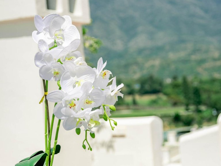 Town House for Sale in Marbella, Malaga 49