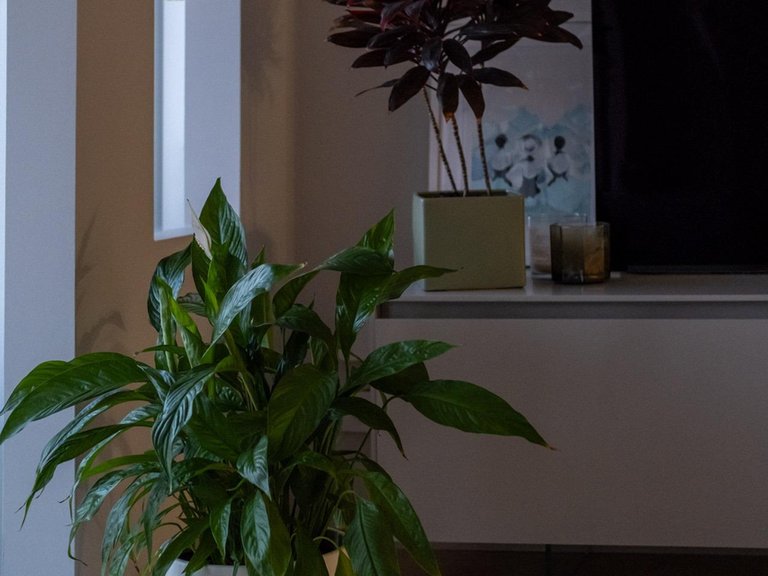 Apartment for Sale in Marbella, Malaga 41