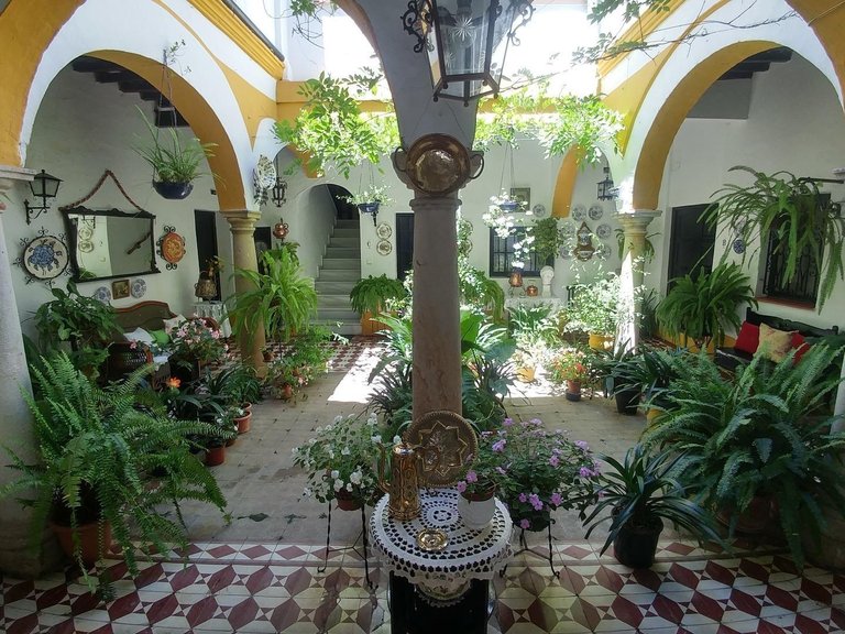 Apartment for Sale in Sotogrande, Cadiz 40