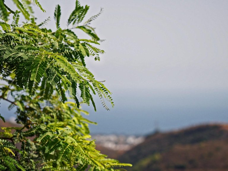 Apartment for Sale in Ojen, Malaga 32