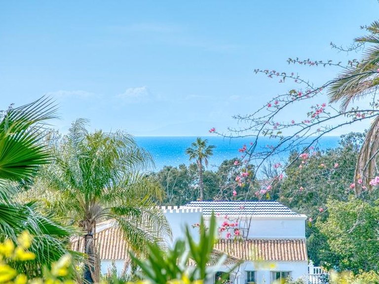 Apartment for Sale in Marbella, Malaga 66