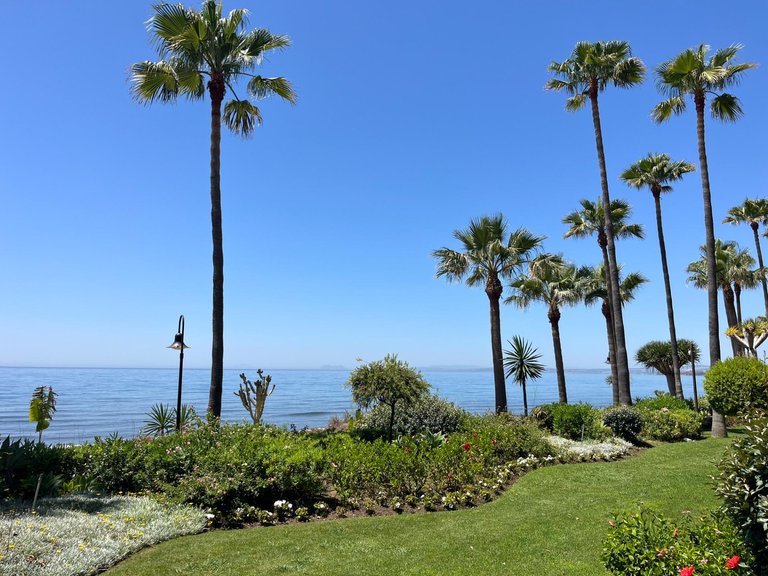 Apartment for Sale in Estepona, Malaga 40