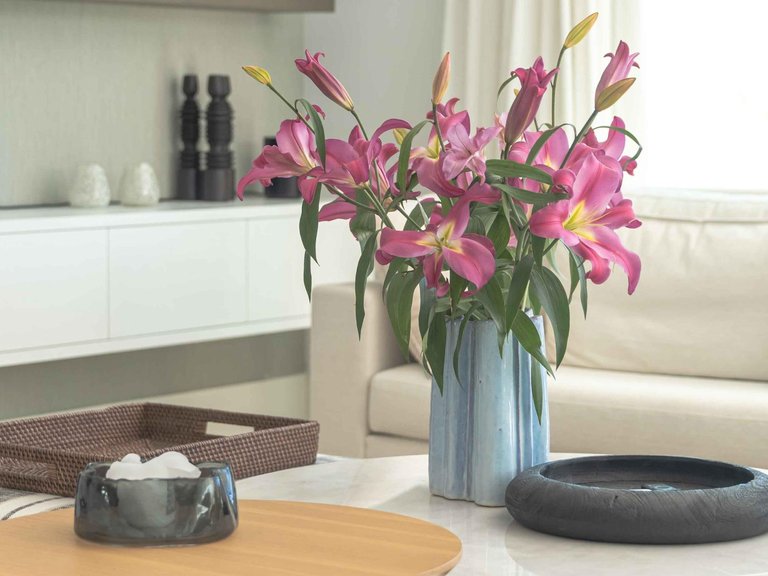 Apartment for Sale in San Pedro De Alcantara, Malaga 19