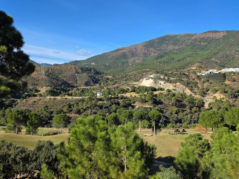 Apartment for Sale in Benahavis, Malaga 3