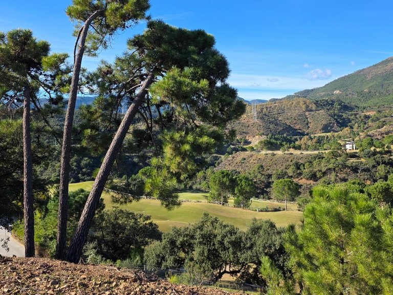 Apartment for Sale in Benahavis, Malaga 4