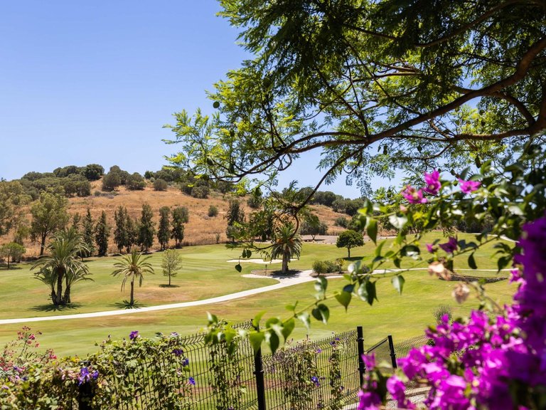 Villa for Sale in Estepona, Malaga 38