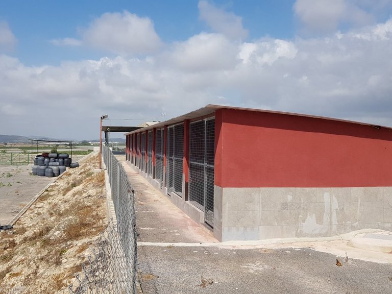 Country House for Sale in Costa Blanca Los Montesinos, Alicante 14