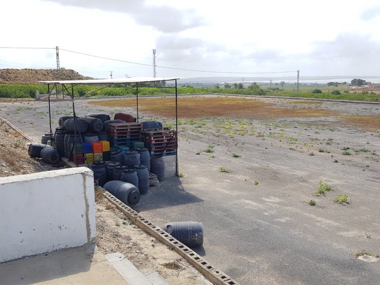 Country House for Sale in Costa Blanca Los Montesinos, Alicante 22