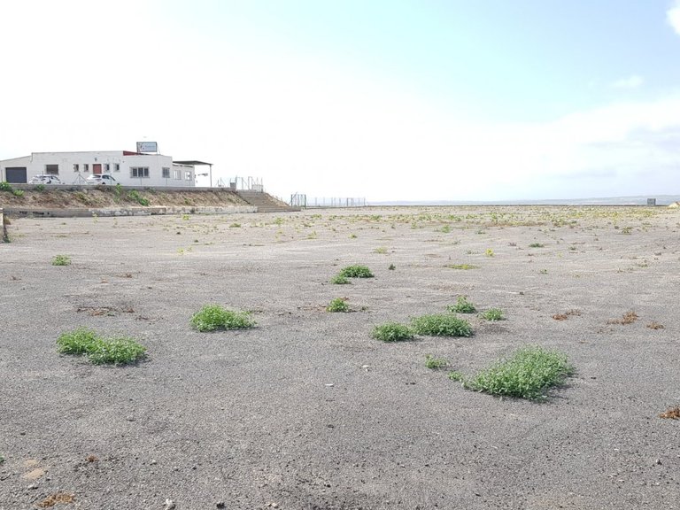 Country House for Sale in Costa Blanca Los Montesinos, Alicante 27