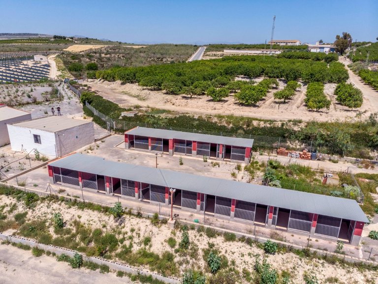 Country House for Sale in Costa Blanca Los Montesinos, Alicante 50