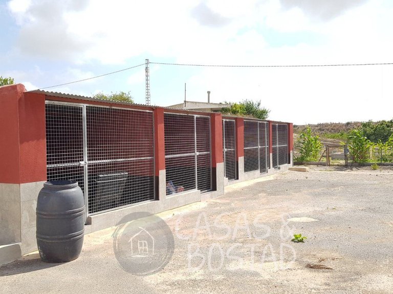 Country House for Sale in Los Montesinos, Alicante 13
