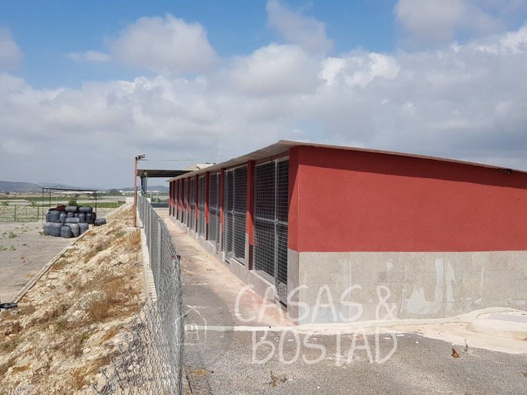 Country House for Sale in Los Montesinos, Alicante 15