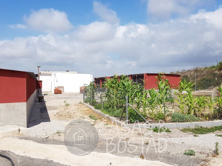 Country House for Sale in Los Montesinos, Alicante 18