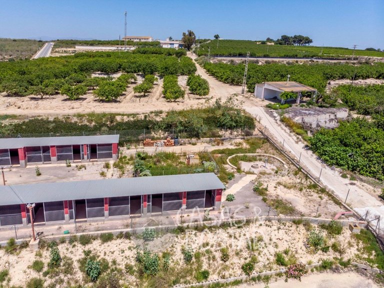 Country House for Sale in Los Montesinos, Alicante 44