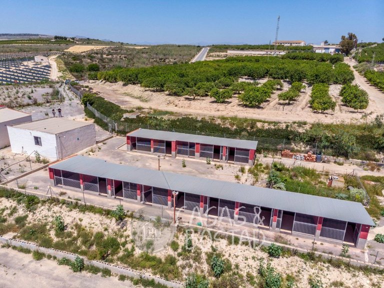 Country House for Sale in Los Montesinos, Alicante 48