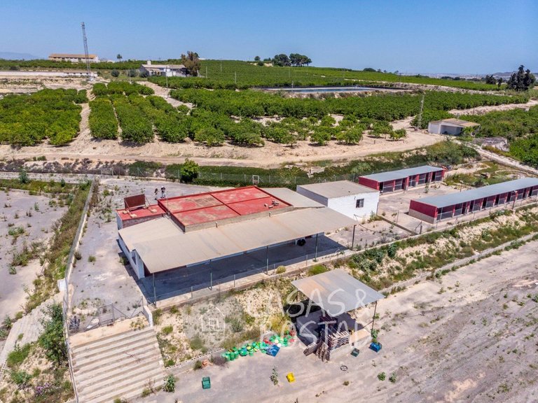 Country House for Sale in Los Montesinos, Alicante 49