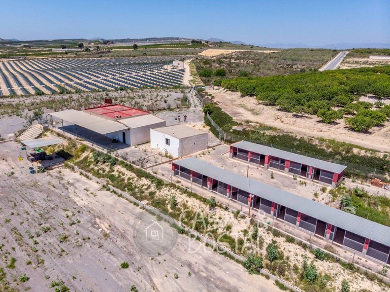 Country House for Sale in Los Montesinos, Alicante 50