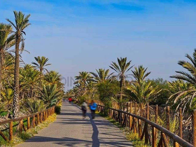 Penthouse for Sale in Guardamar Del Segura, Alicante 15