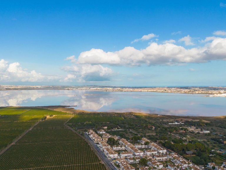 Penthouse for Sale in Costa Blanca Torrevieja, Alicante 41