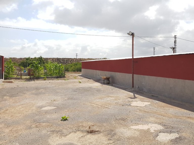 Country House for Sale in Costa Blanca Los Montesinos, Alicante 13