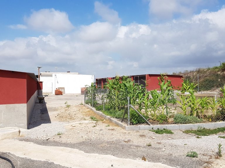 Country House for Sale in Costa Blanca Los Montesinos, Alicante 17