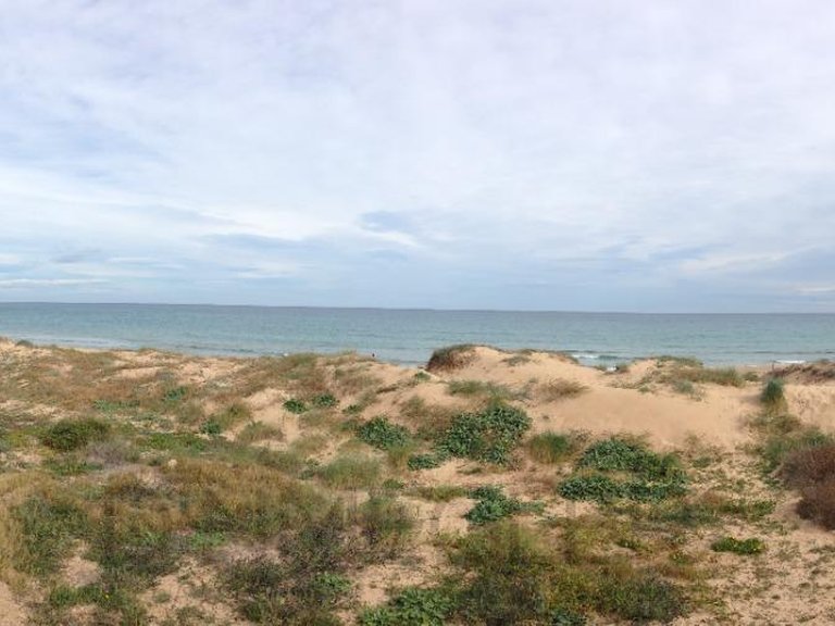 Apartment for Sale in Torrevieja, Alicante 48