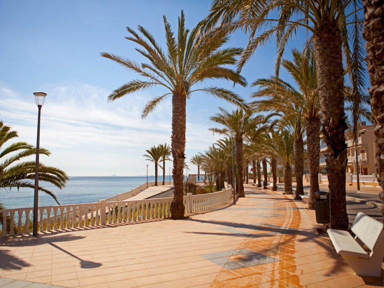 Apartment for Sale in Costa Blanca Pilar De La Horadada, Alicante 21