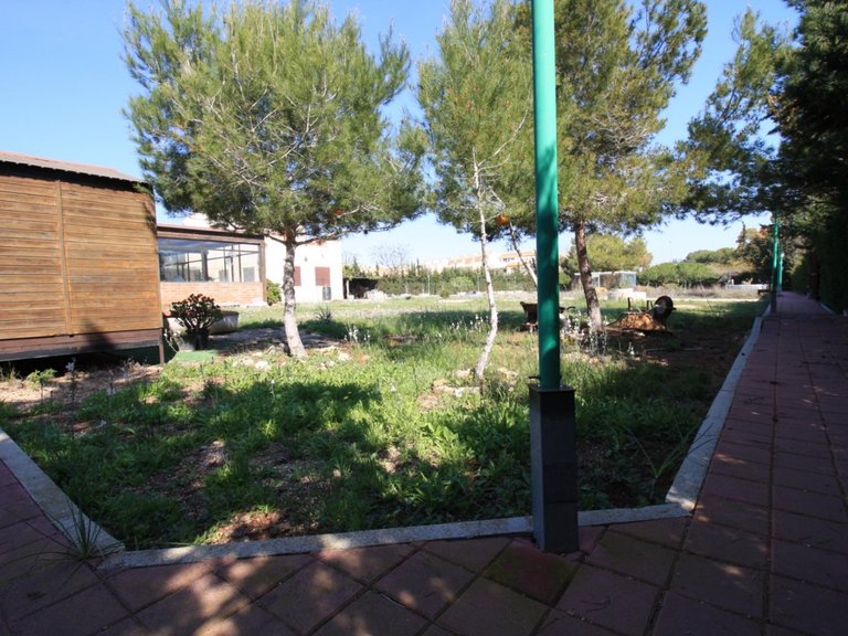 Villa for Sale in Orihuela Costa, Alicante 9