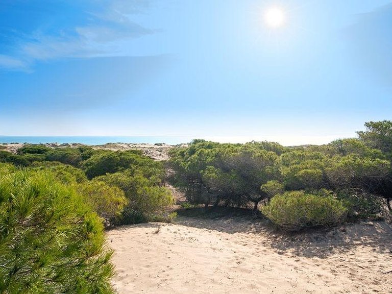 Villa for Sale in La Marina, Alicante 12