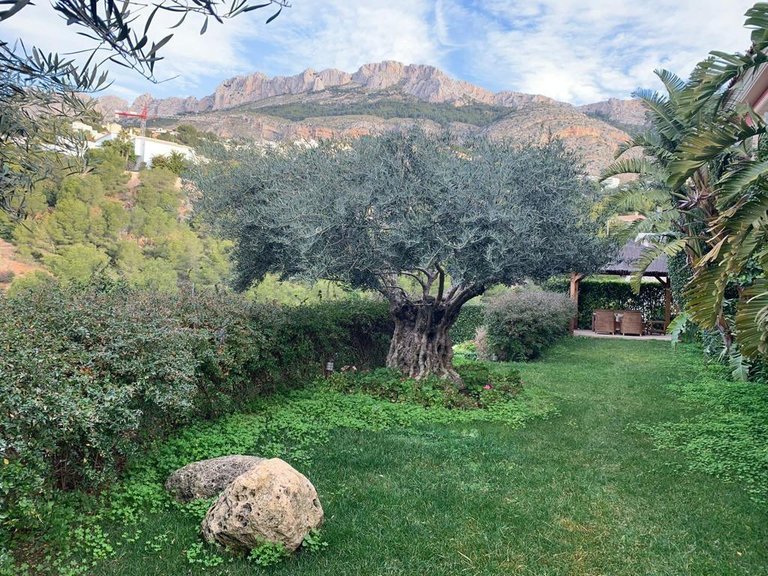 Villa for Sale in Altea, Alicante 5