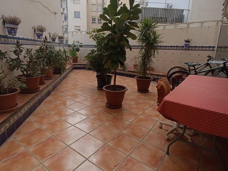 Apartment for Sale in Gandia, Valencia 4