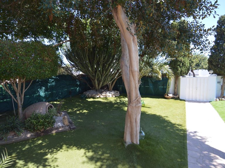 Villa for Sale in Torrevieja, Alicante 11
