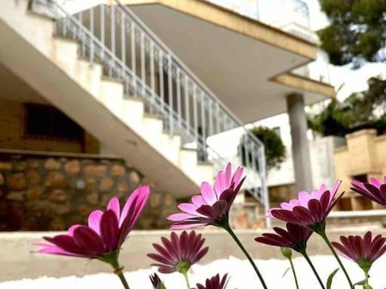 Villa for Sale in Orihuela Costa, Alicante 5