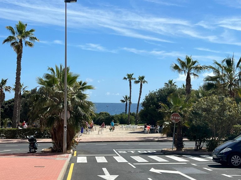 Commercial for Sale in Torrevieja, Alicante 7