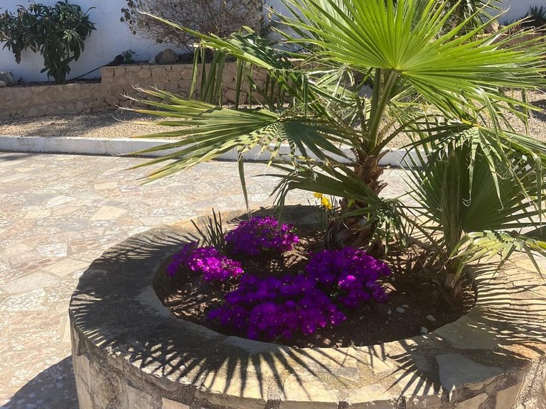 Villa for Sale in Alfaz Del Pi, Alicante 13